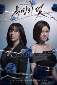 A Trap Called Desire (2026) poster