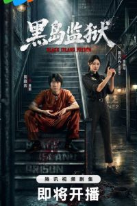 Black Island Prison (2026) poster