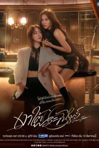 Moonshadow (2026) poster