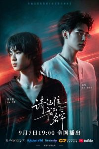 The Missing Piece (2026) poster