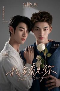 Till I See You (2026) poster